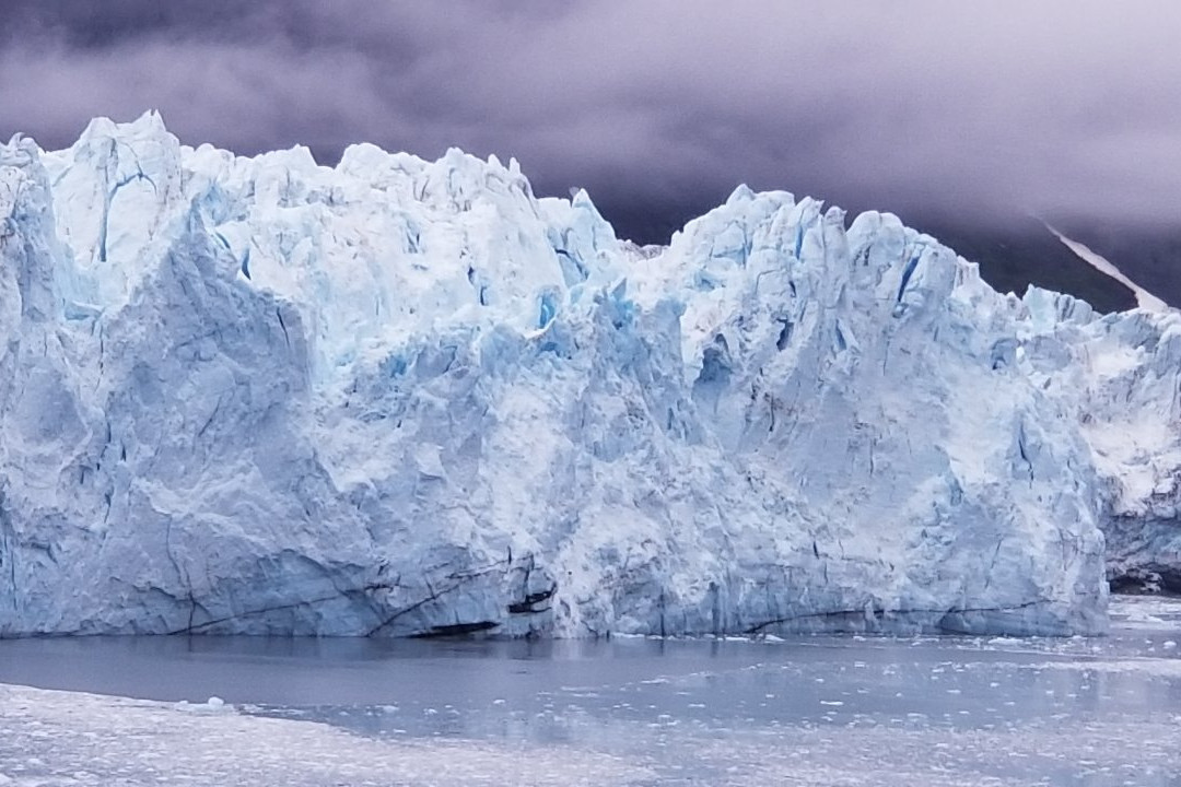 Glacier Bay National Park Visitor Center-古斯塔夫斯必去景点