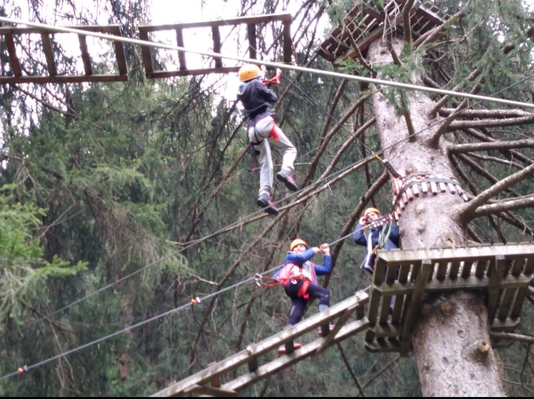 Parco Avventura Adamello Adventure景点图片
