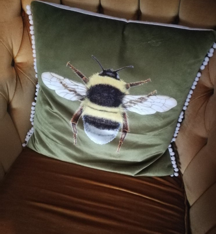 Toadhall Rooms主图