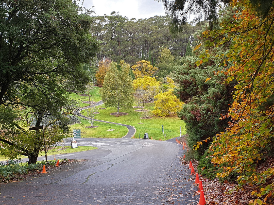 Mount Lofty Botanic Garden景点图片