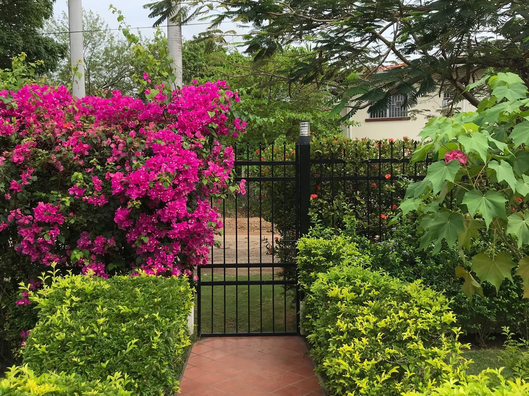 Casa de Los Suenos Bed and Breakfast主图