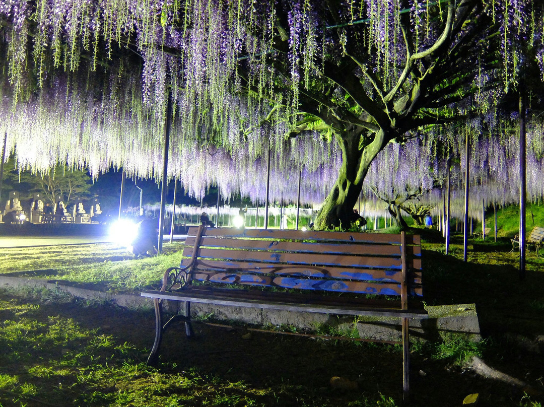 Byakkugoroji Temple-丹波市必去景点