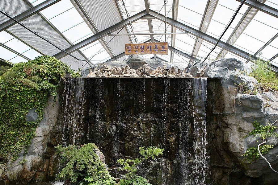 Hampyeong Expo Park - Natural Ecological Museum景点图片