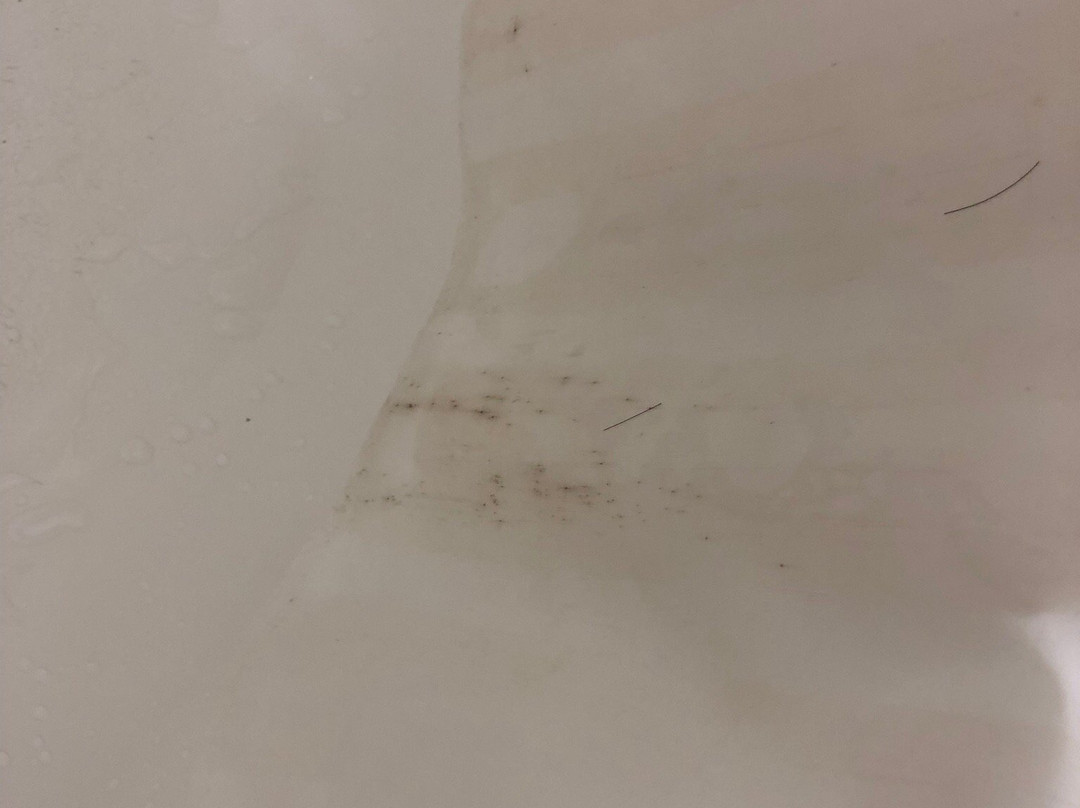 Microtel Inn & Suites by Wyndham Tuscaloosa Near University主图