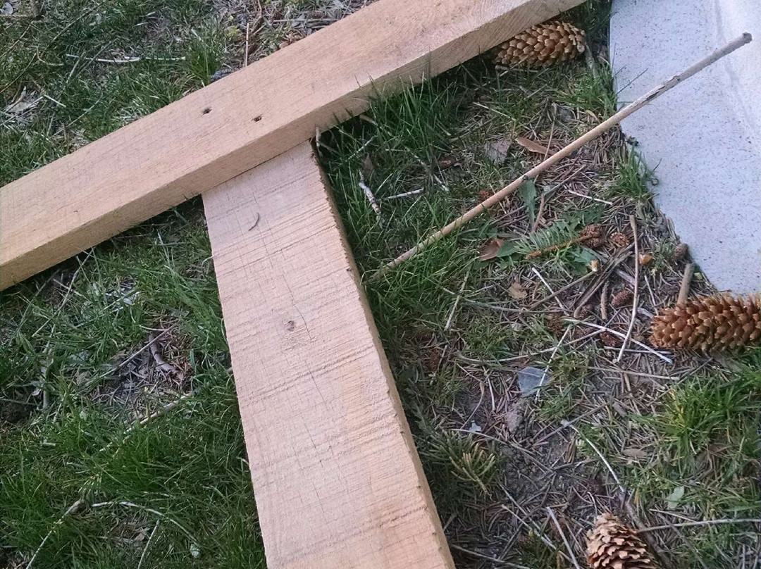 Best Western Plus Twin Falls Hotel主图