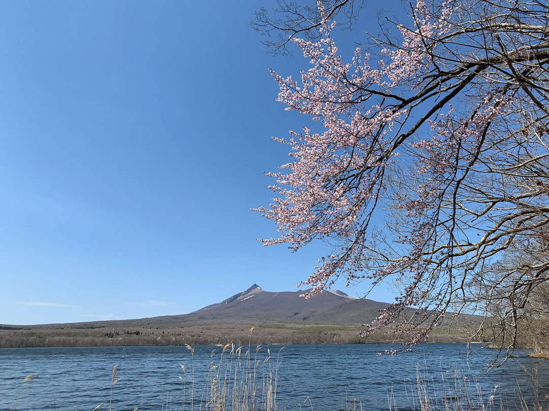 Onuma Park Square-七饭町必去景点