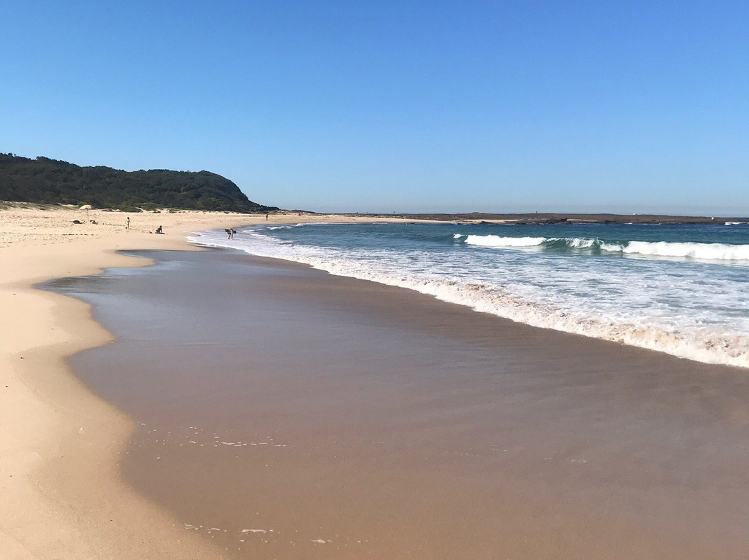 Catherine Hill Bay Beach景点图片