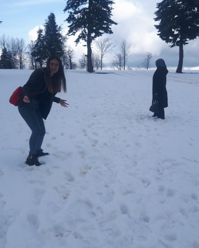 Kartepe Park Hotel主图