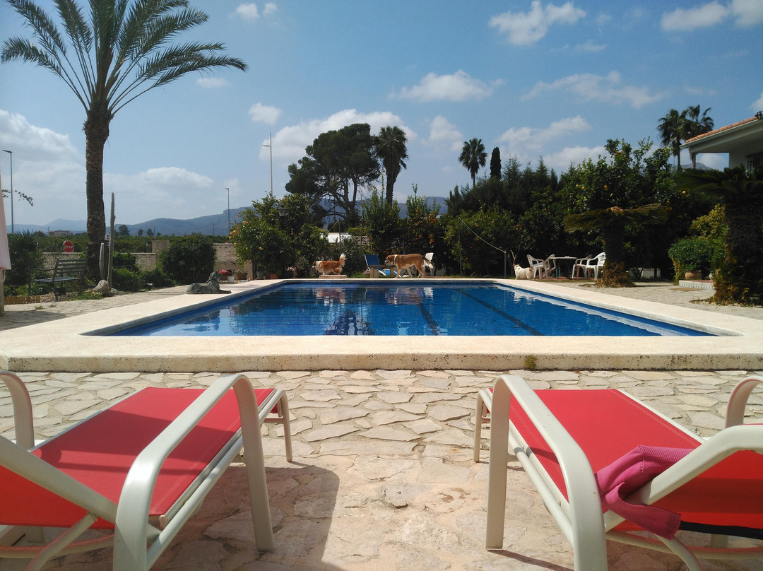 Villa Florencia Casa Rural Gandia主图