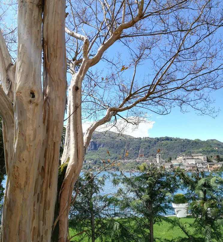 Orta & Oltre Guided Tours-奥尔塔圣朱利奥必去景点