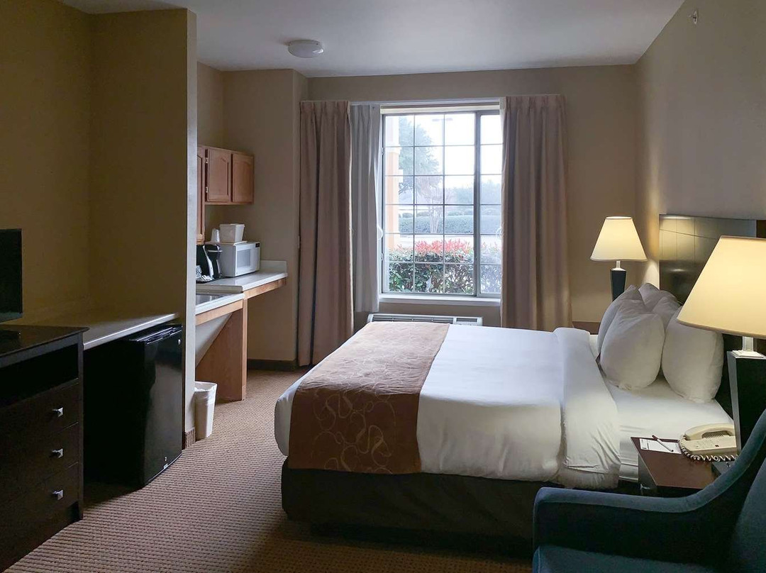 Comfort Suites Roanoke - Fort Worth North主图