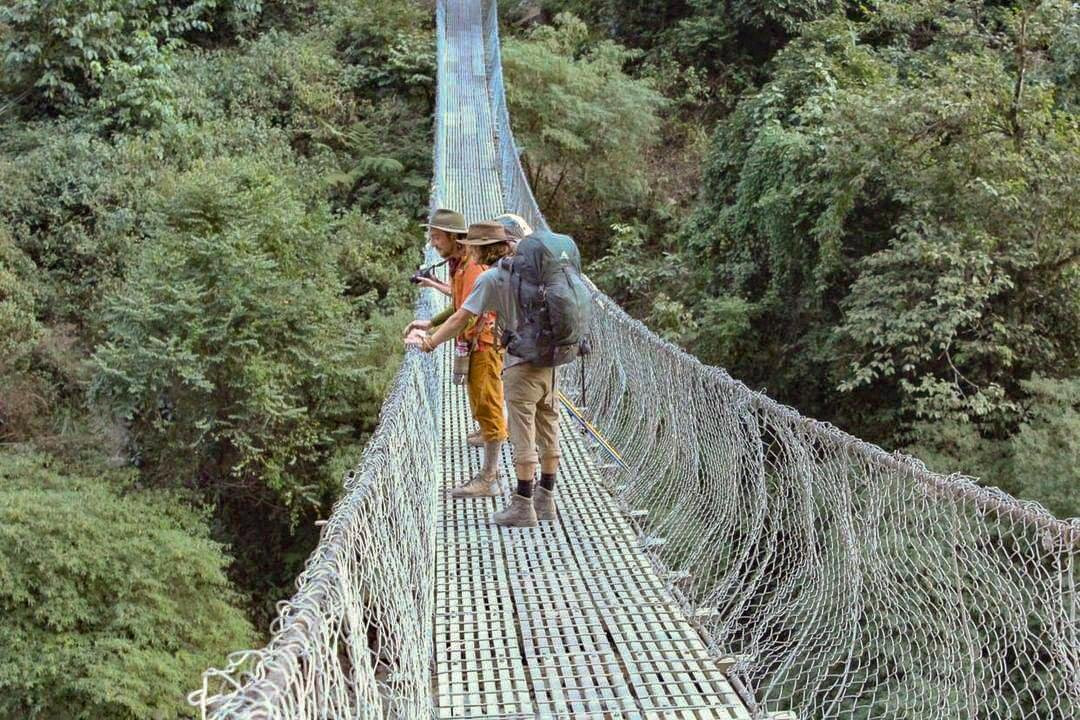 Dharma Trips景点图片