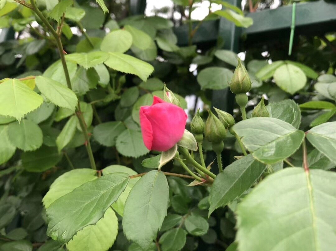 钱塘潮景点图片