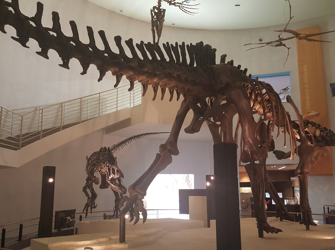 Mokpo Natural History Museum-木浦市必去景点
