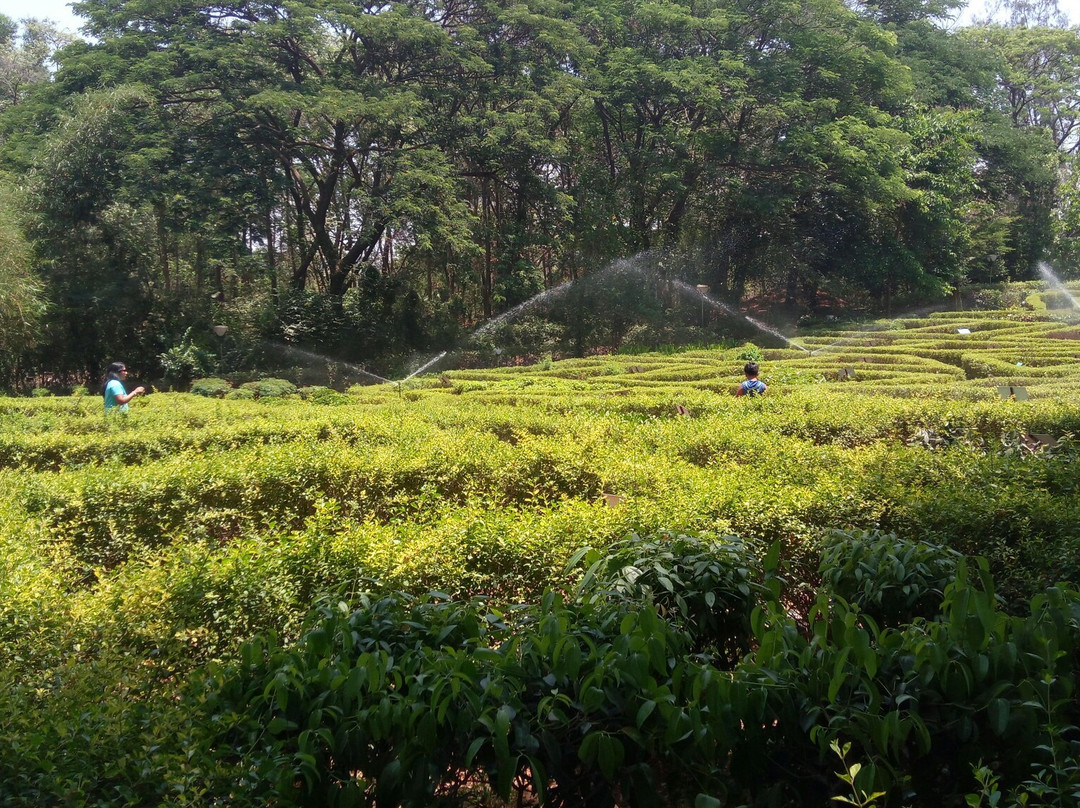 Nakshatra Garden-锡尔瓦萨必去景点