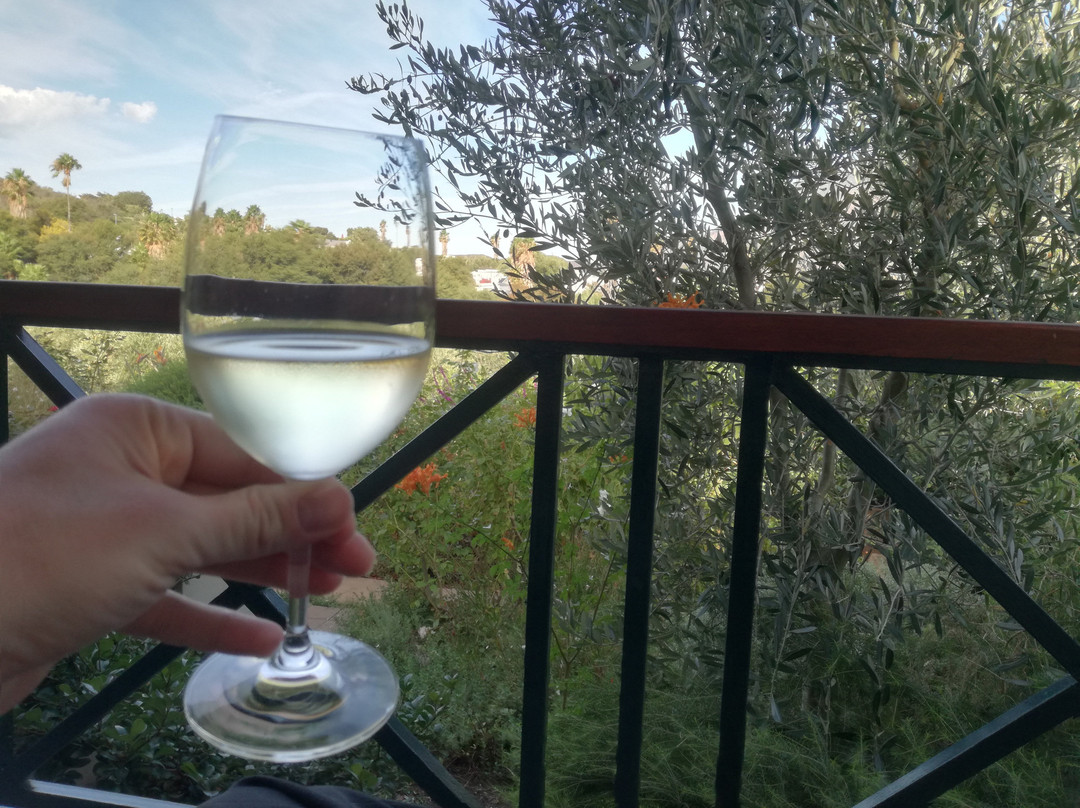 Montagu Vines Guesthouse主图