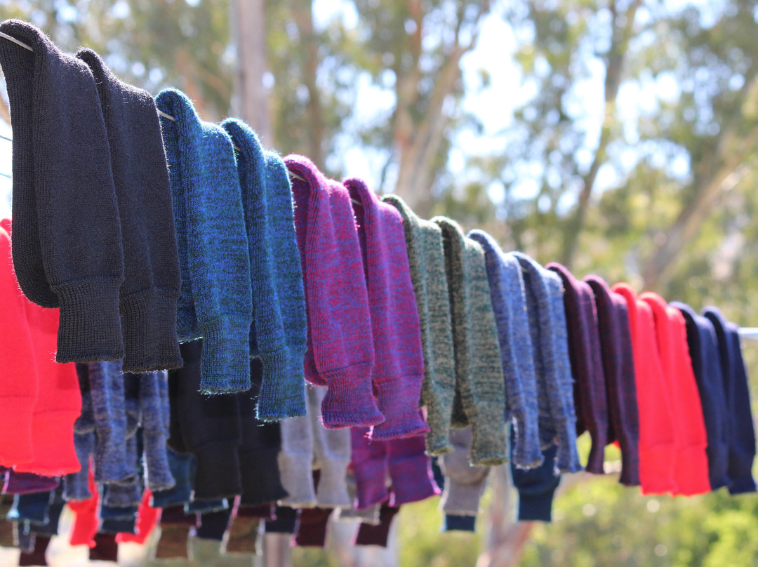 Lindner Quality Socks-Crookwell必去景点