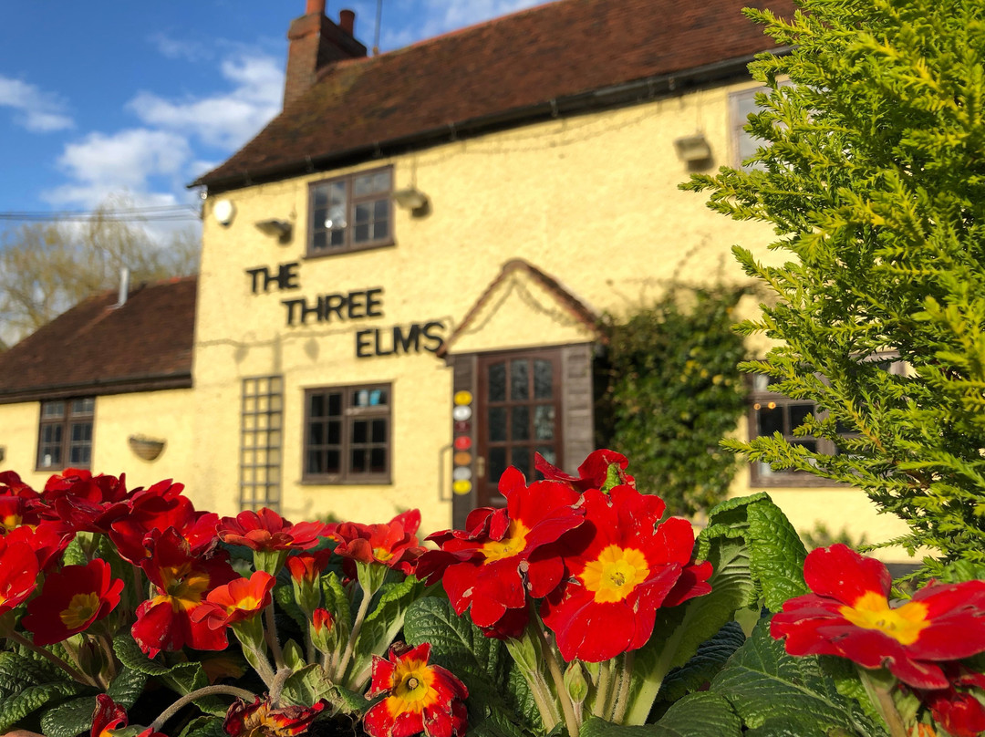 The Three Elms Pub & Kitchen景点图片