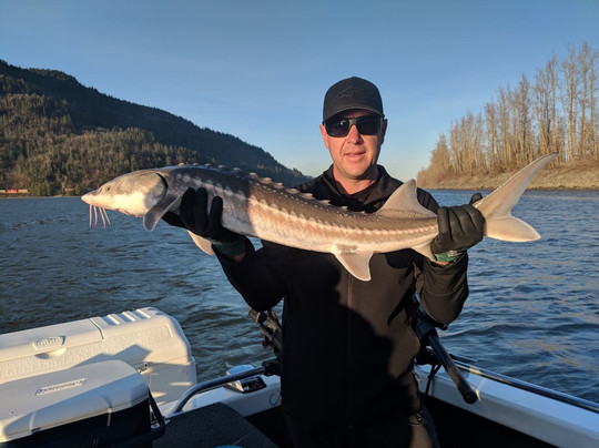 Johnny's Sport Fishing-奇利瓦克必去景点