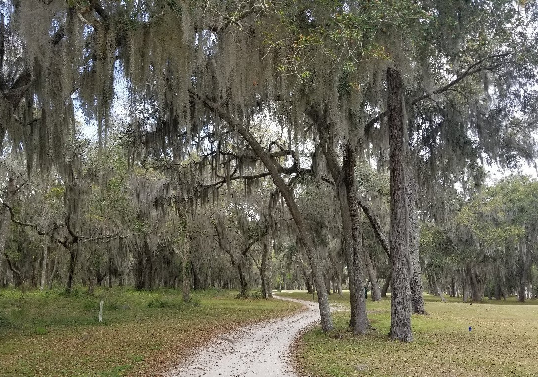 Sapelo Hammock Golf Club-Shellman Bluff必去景点
