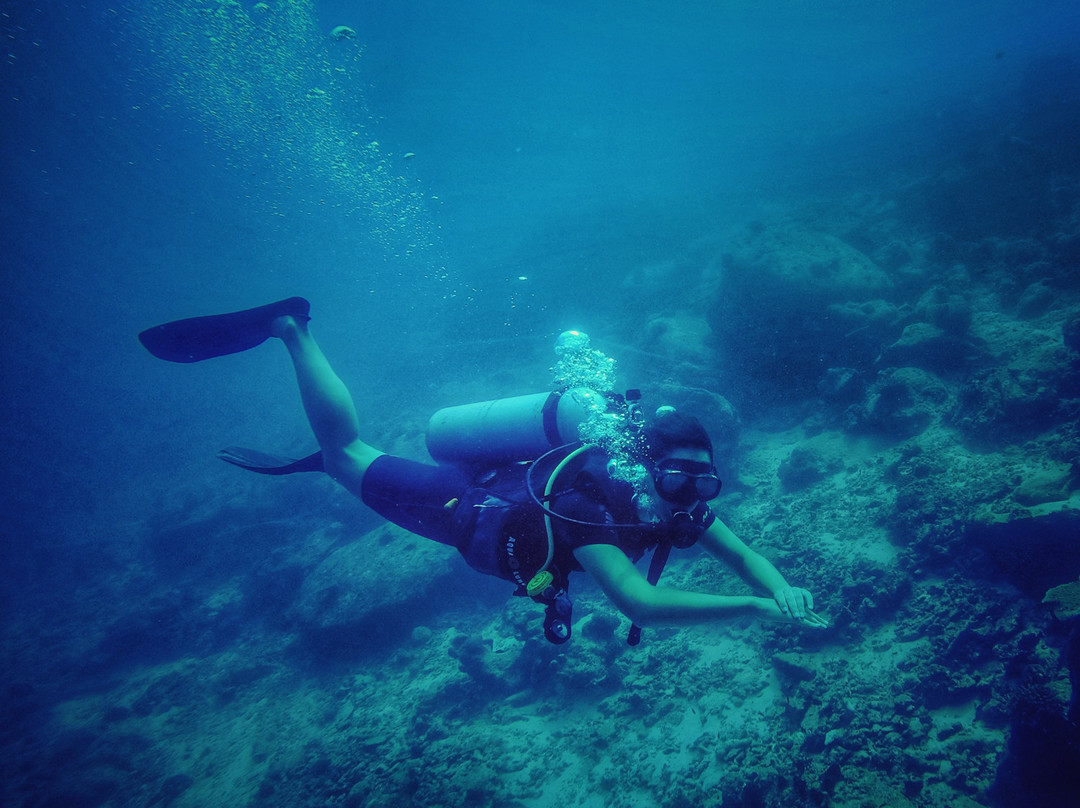 Sea Bees Diving Khao Lak - Day Tours景点图片