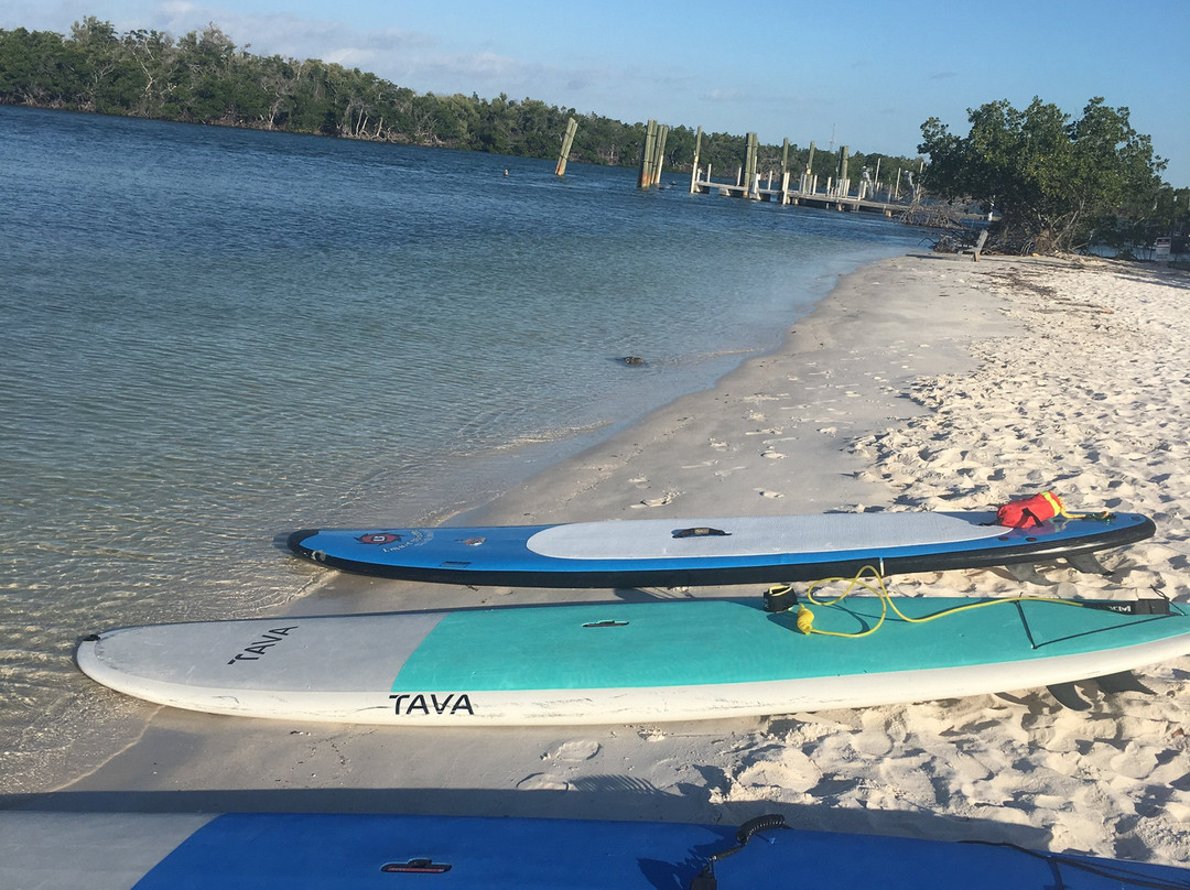 Katie's Paddle Boarding Adventures景点图片