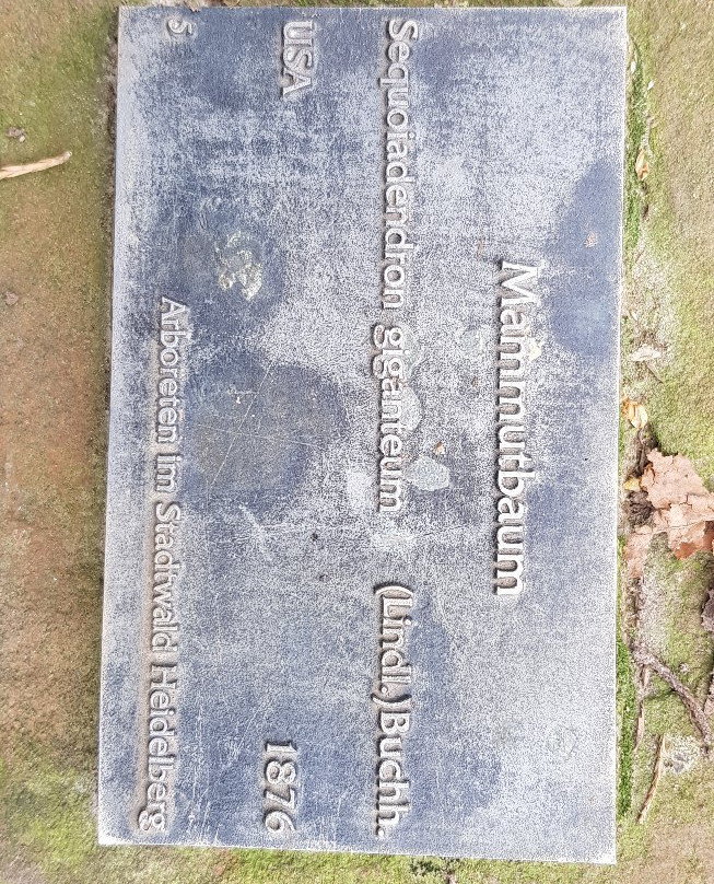 Sprunghohe-海德尔堡必去景点