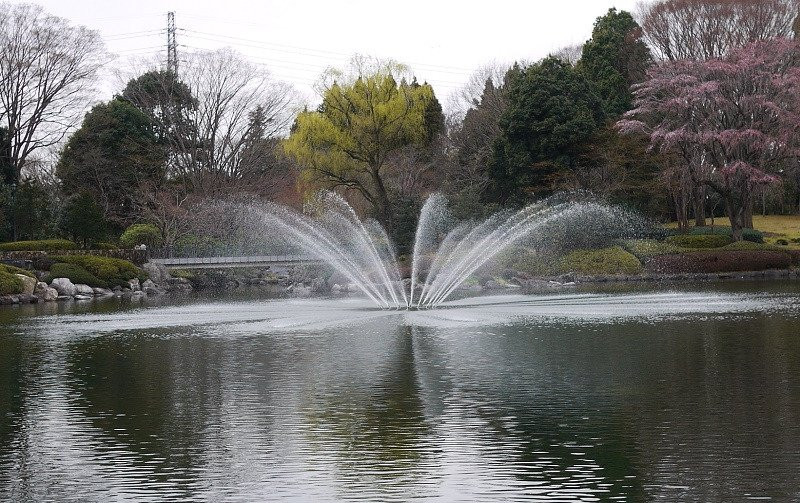 Tochigiken Chuo Park-宇都宫市必去景点