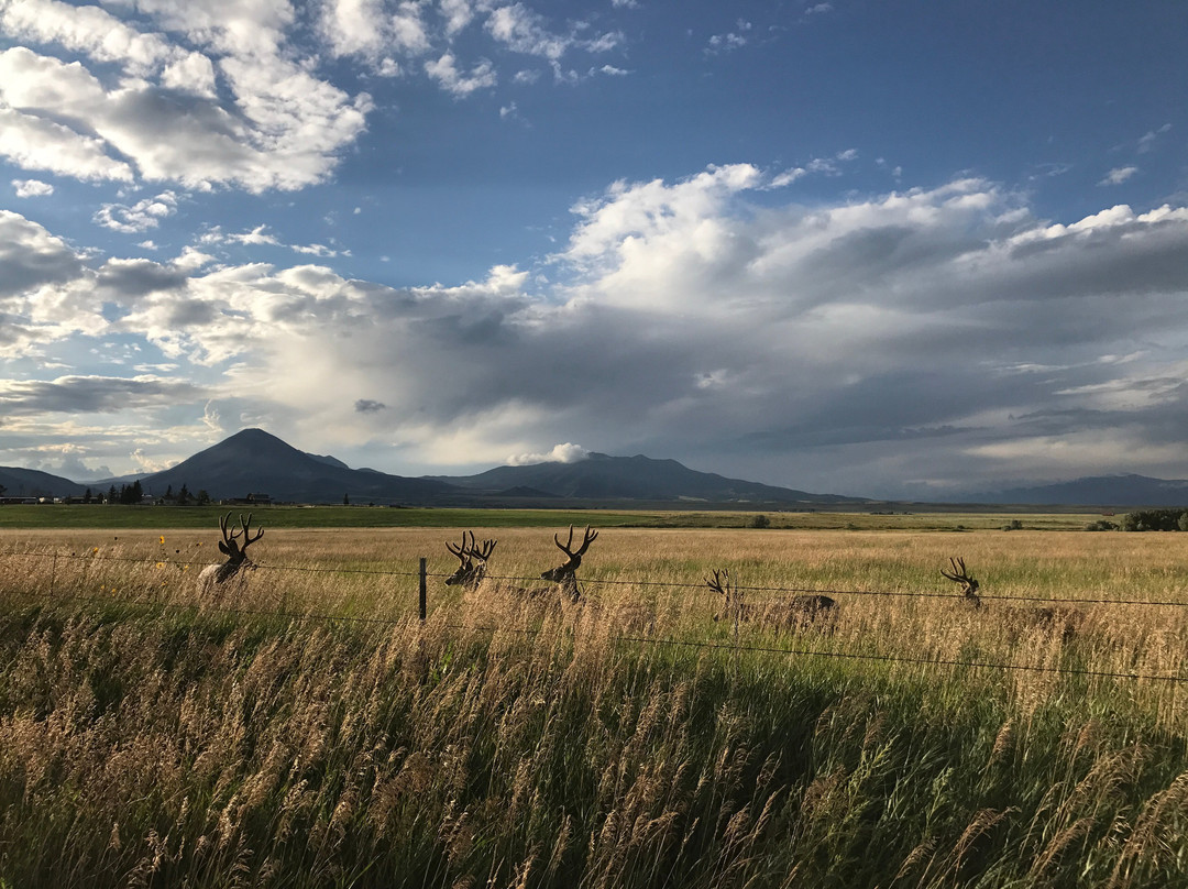 Sulphur Springs Ranch