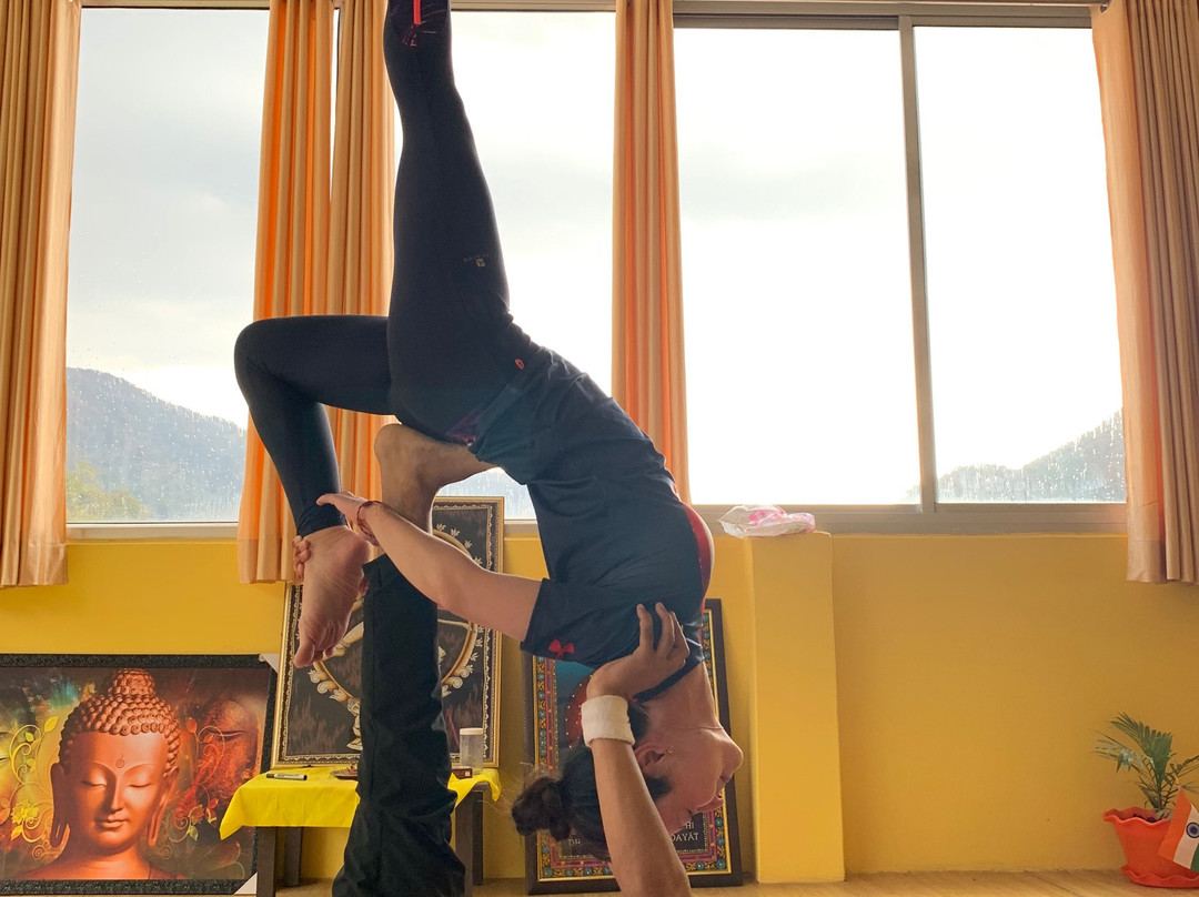 Yog Amritam Yoga Teacher Training景点图片