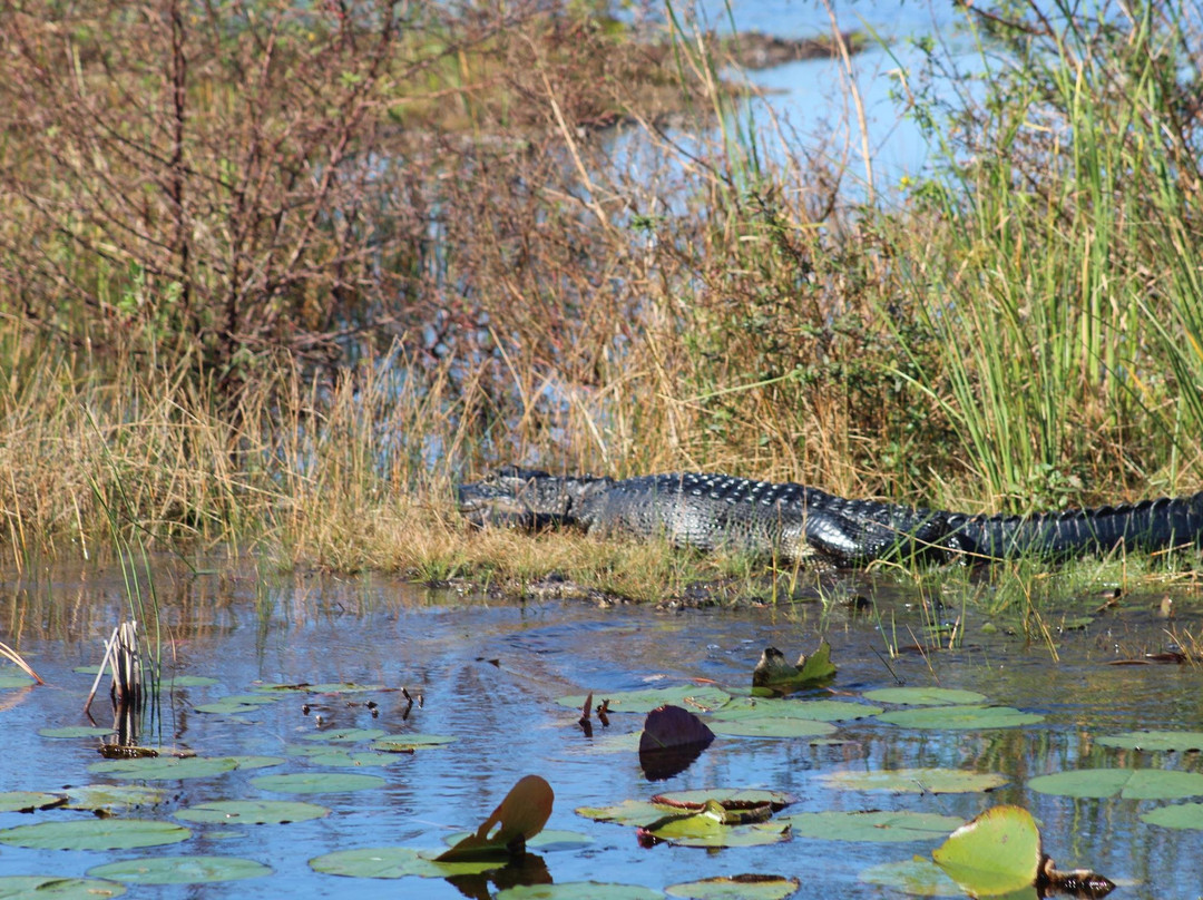 FloVentures-Southwest Ranches必去景点