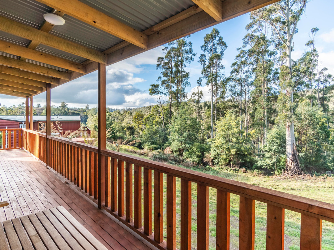 Derby Forest Cabins