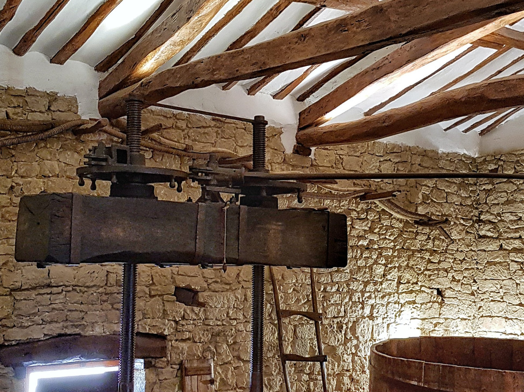 La Bodega del Tesoro景点图片