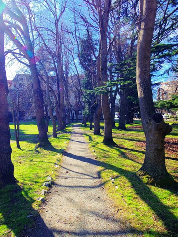 St. Ann's Academy National Historic Site-维多利亚必去景点