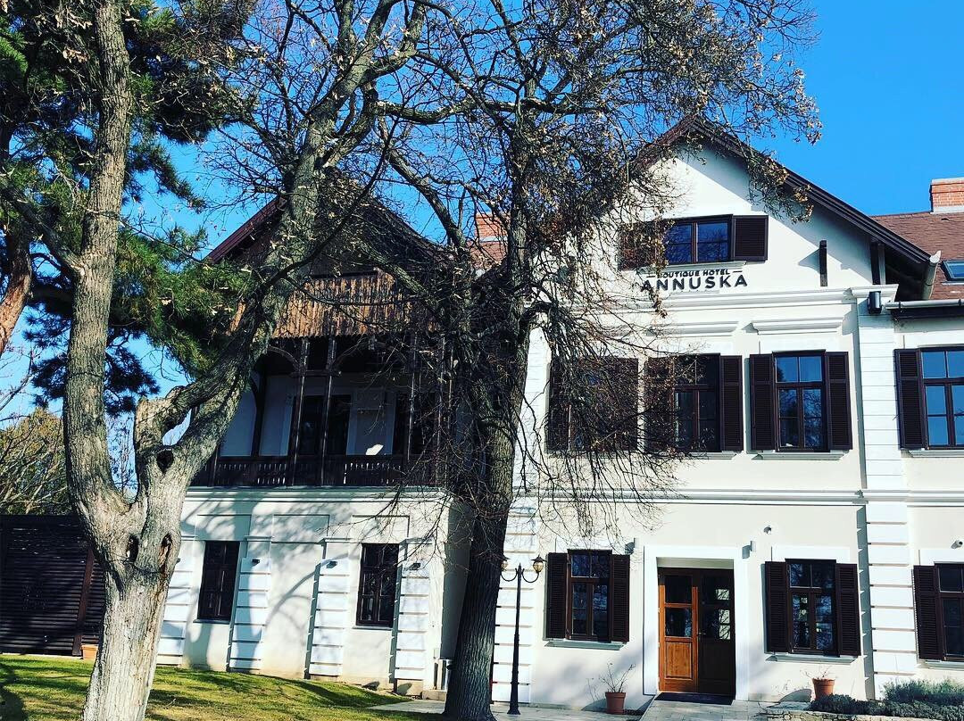Boutique Hotel Annuska主图