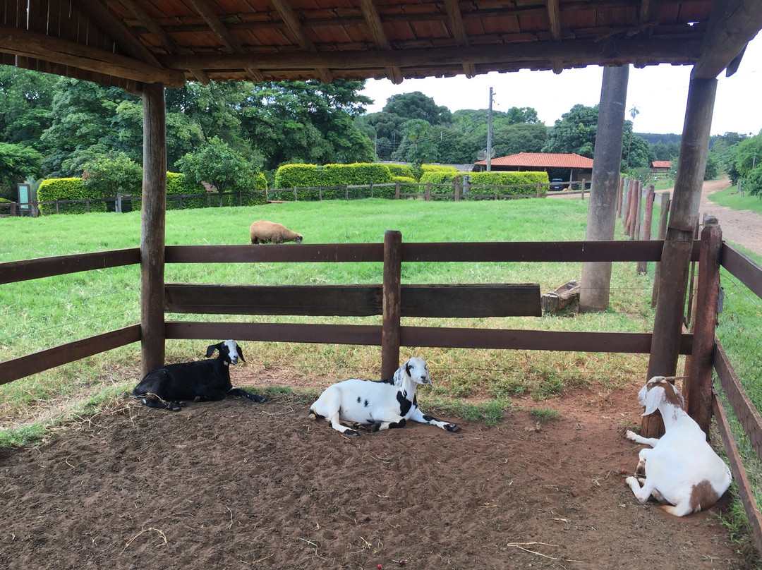 Hotel Fazenda Areia que Canta主图