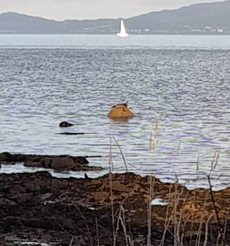 Wild Bute-Isle of Bute必去景点