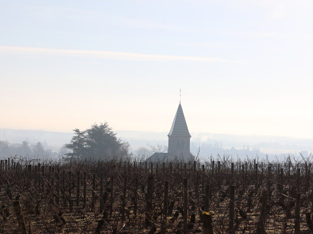Eglise de Saint-Martin de Fixin景点图片