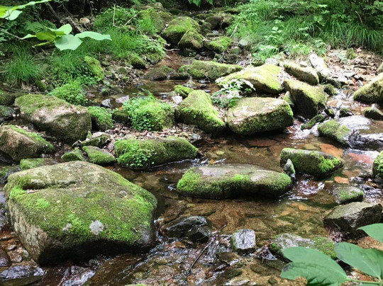 绿石谷-本溪满族自治县必去景点