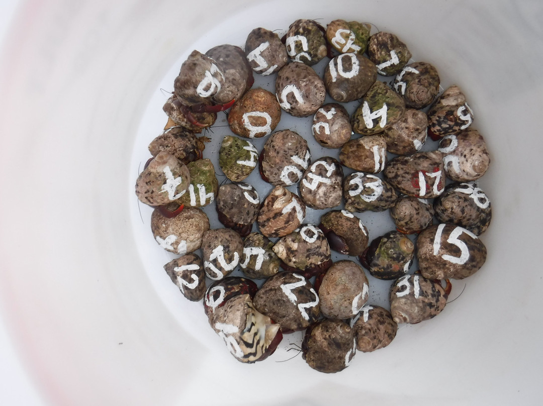 Cayman Brac Beach Resort主图