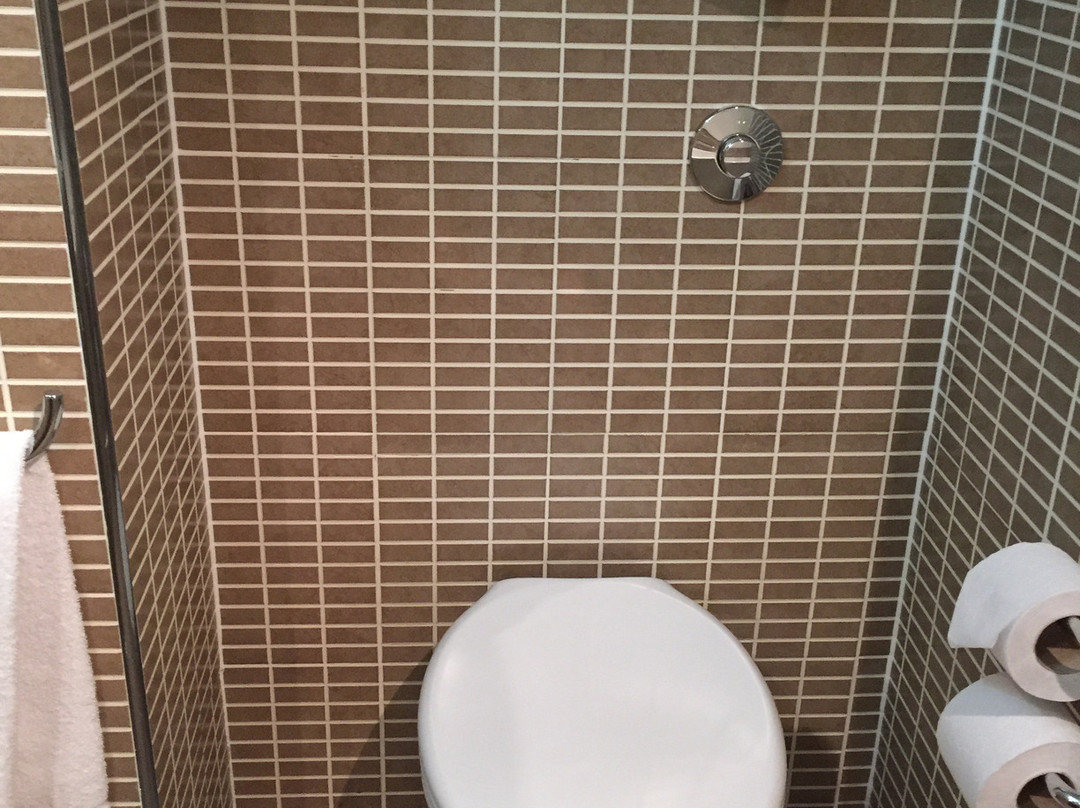 阿斯顿敦夫里斯酒店主图