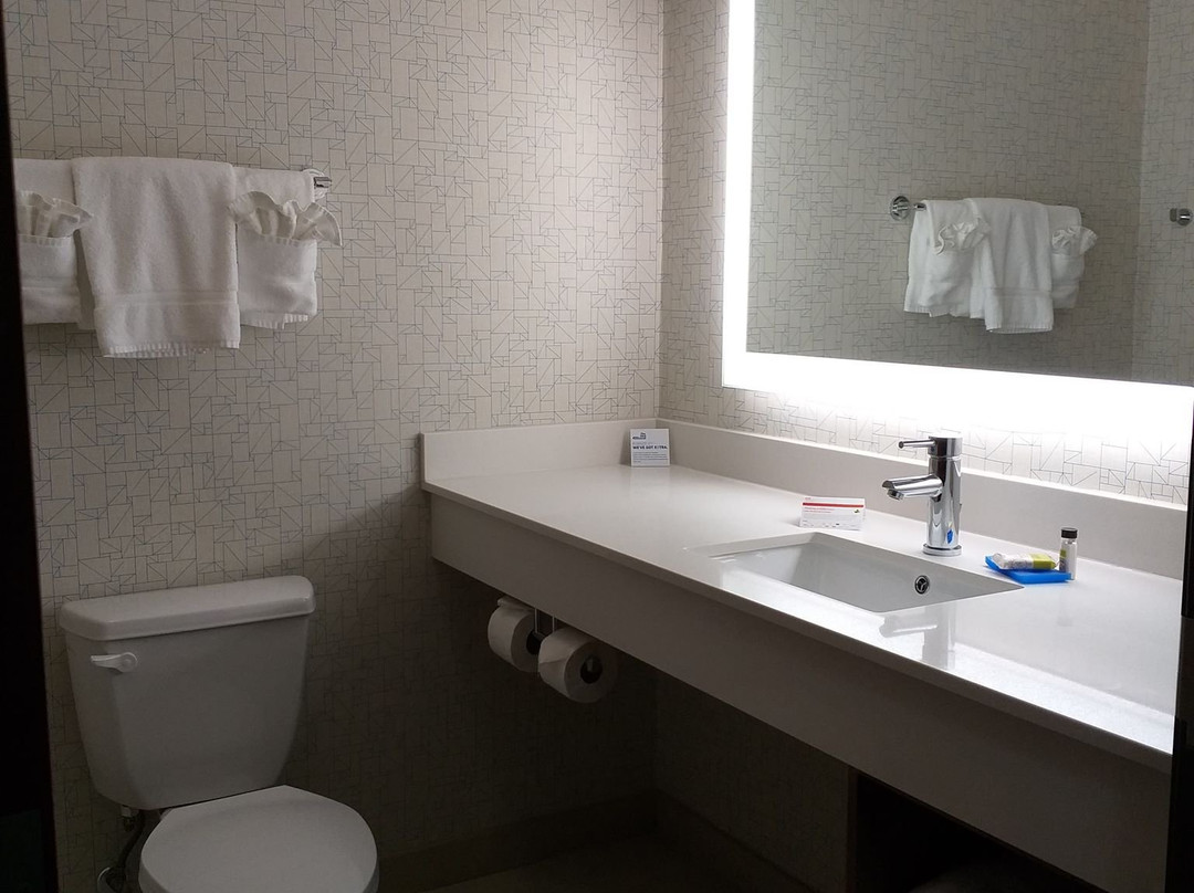 Holiday Inn Express & Suites Longview South I-20 by IHG主图