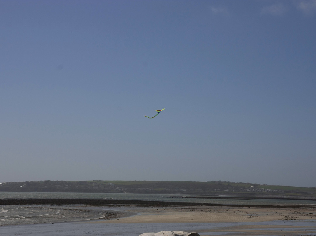 Ballynamona Beach-Midleton必去景点