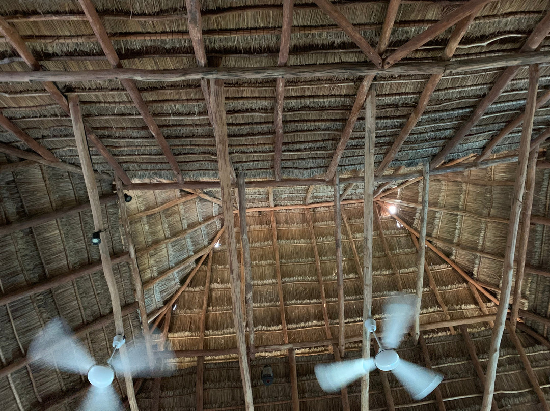 The Treehouse Yoga-女人岛必去景点