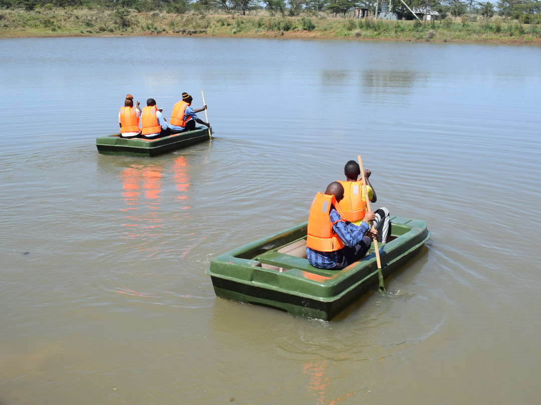 Kambi Mstuni Resort主图