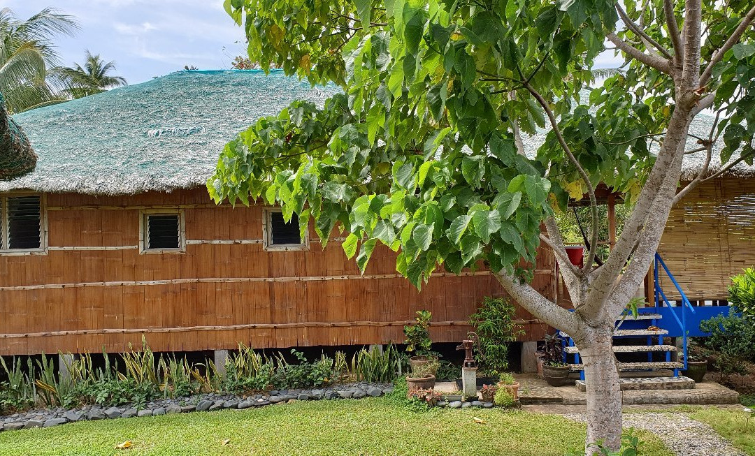 Blue Seastar Cottages