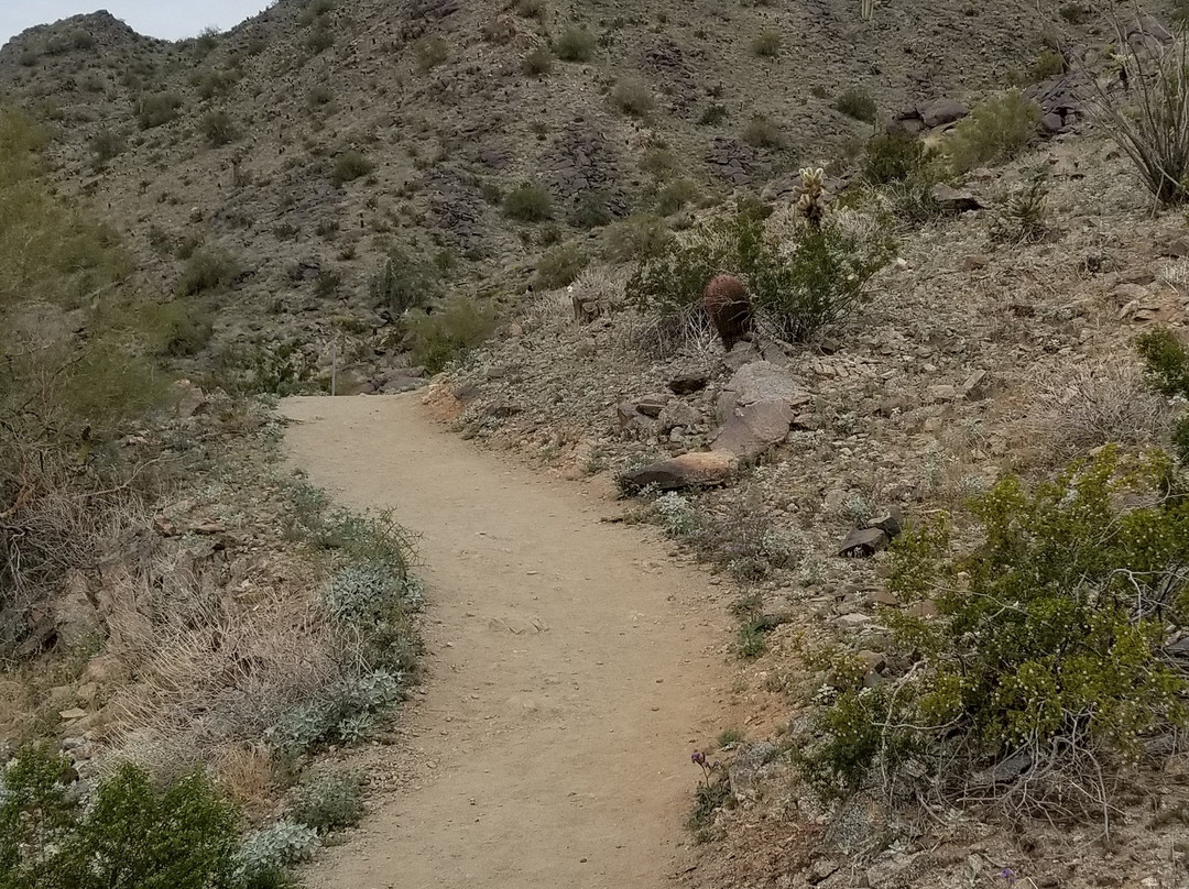 Skyline Regional Park-Buckeye必去景点
