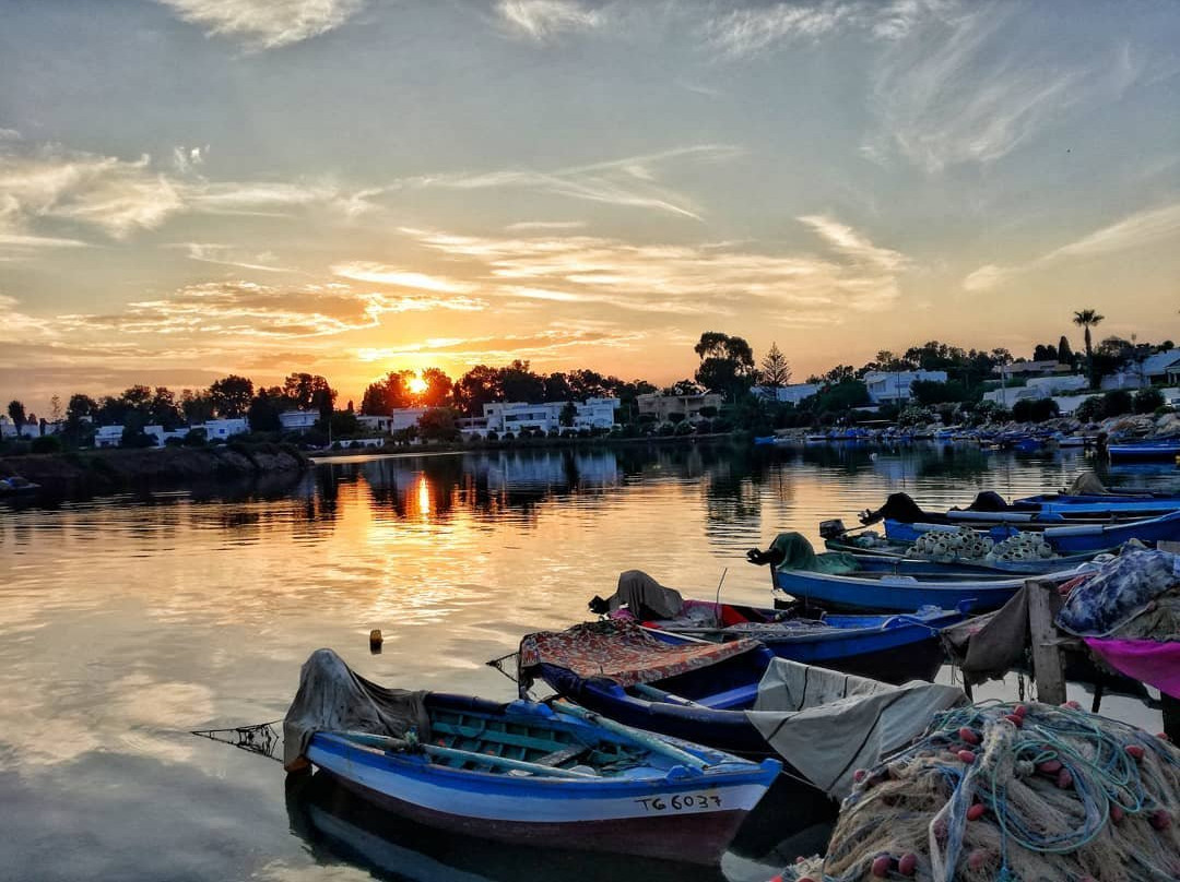 Le Lemon Tour-迦太基必去景点