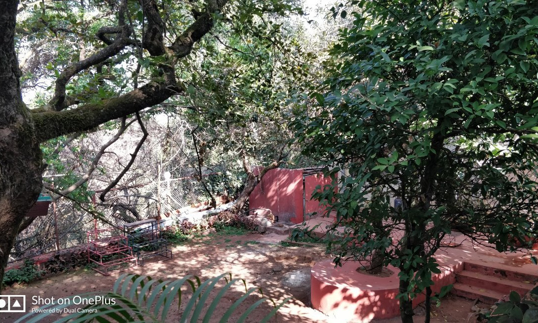 Honeywood Holiday Homes主图