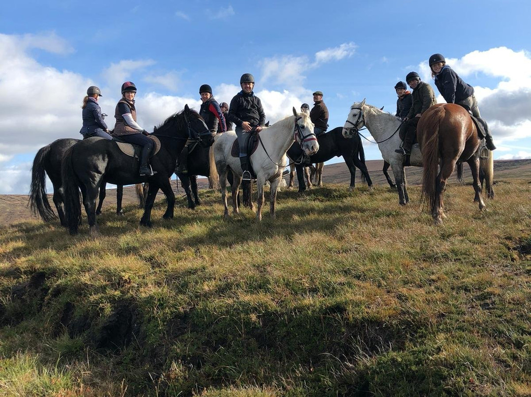 Hollywood Horse and Pony Trekking Centre景点图片